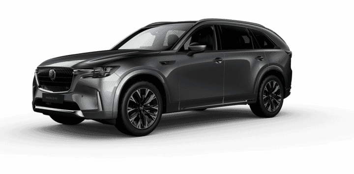 SIGNATURE 3.3 MILD HYBRID - GRIS METÁLICO Exterior